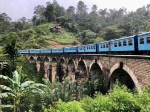 Ella Train Tour