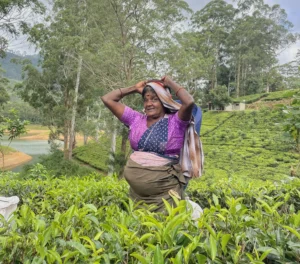 Summer-discovery-19-days-18-nights-in-sri-lanka 10 Ella
